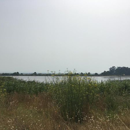 Moradia Proxima Da Praia Do Areinho, Na Ria, E Praia Dos Marretas Ovar Kültér fotó