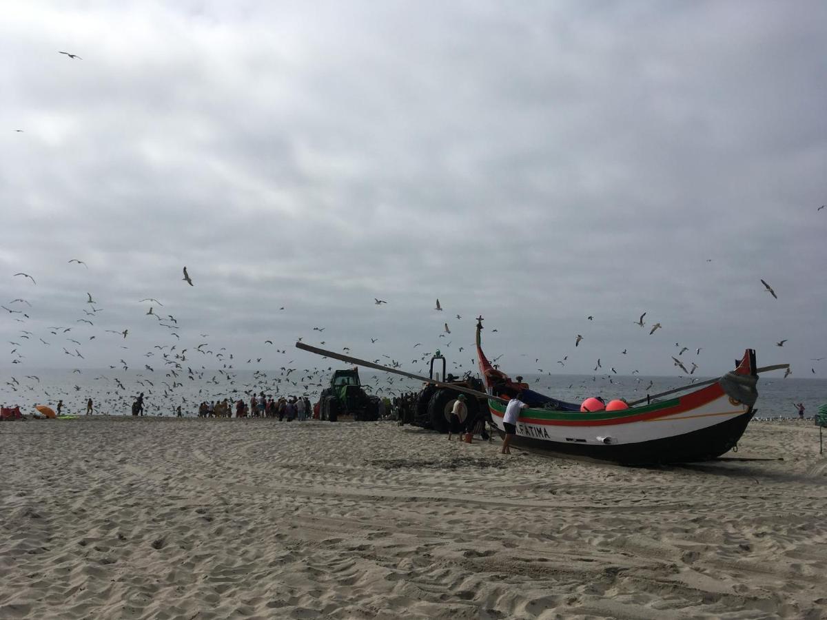 Moradia Proxima Da Praia Do Areinho, Na Ria, E Praia Dos Marretas Ovar Kültér fotó